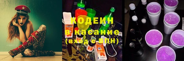 СК Алзамай