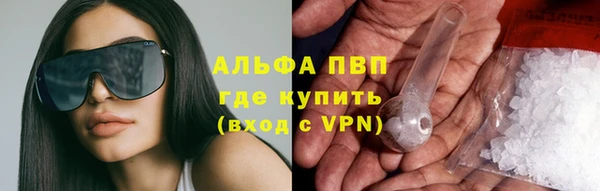 СК Алзамай