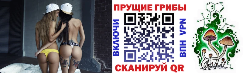 МЕГА ONION  Мышкин  Псилоцибиновые грибы мицелий 